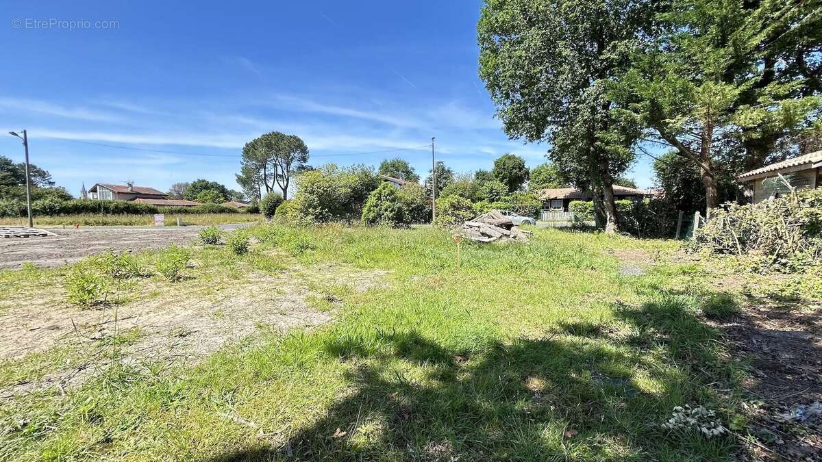 Terrain à SEIGNOSSE