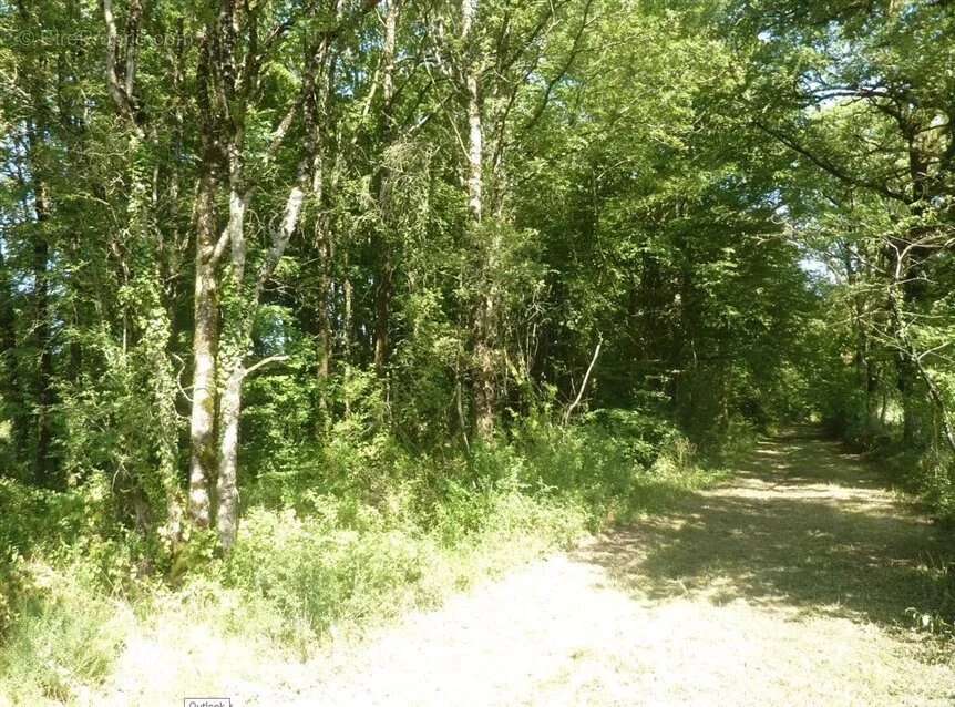 Maison à SAINT-LEGER-MAGNAZEIX