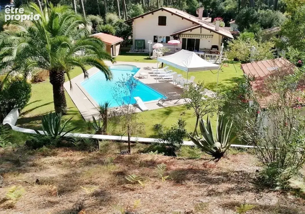 Maison landaise 220 m² avec piscine sur 3000 m²  7 pièces  calme absolu  sans vis-à-vis  fort potentiel - photo 23