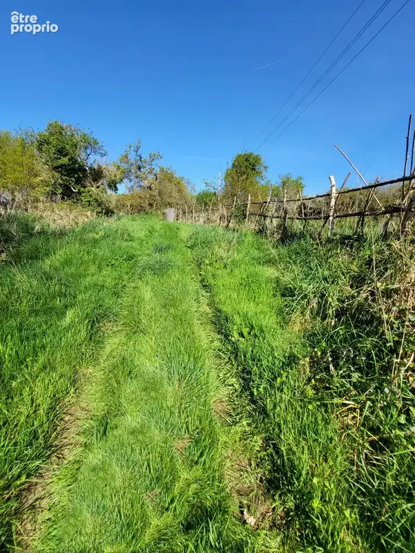 Hangar agricole à vendre CROZON (29) - photo 7