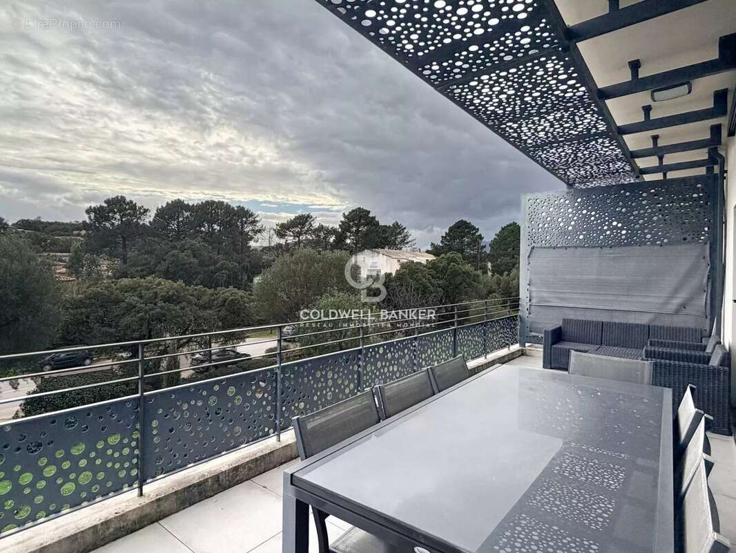 Appartement à ZONZA