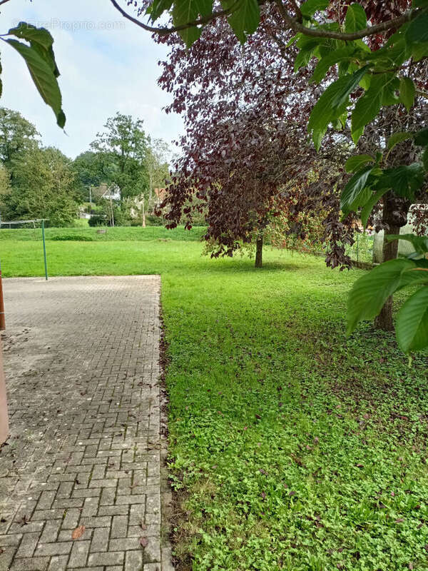 Maison à DIEMERINGEN