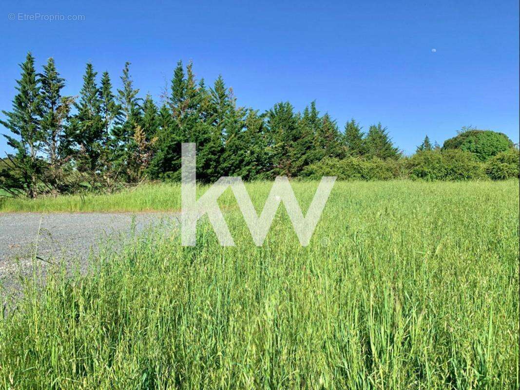 Terrain à GIROUSSENS