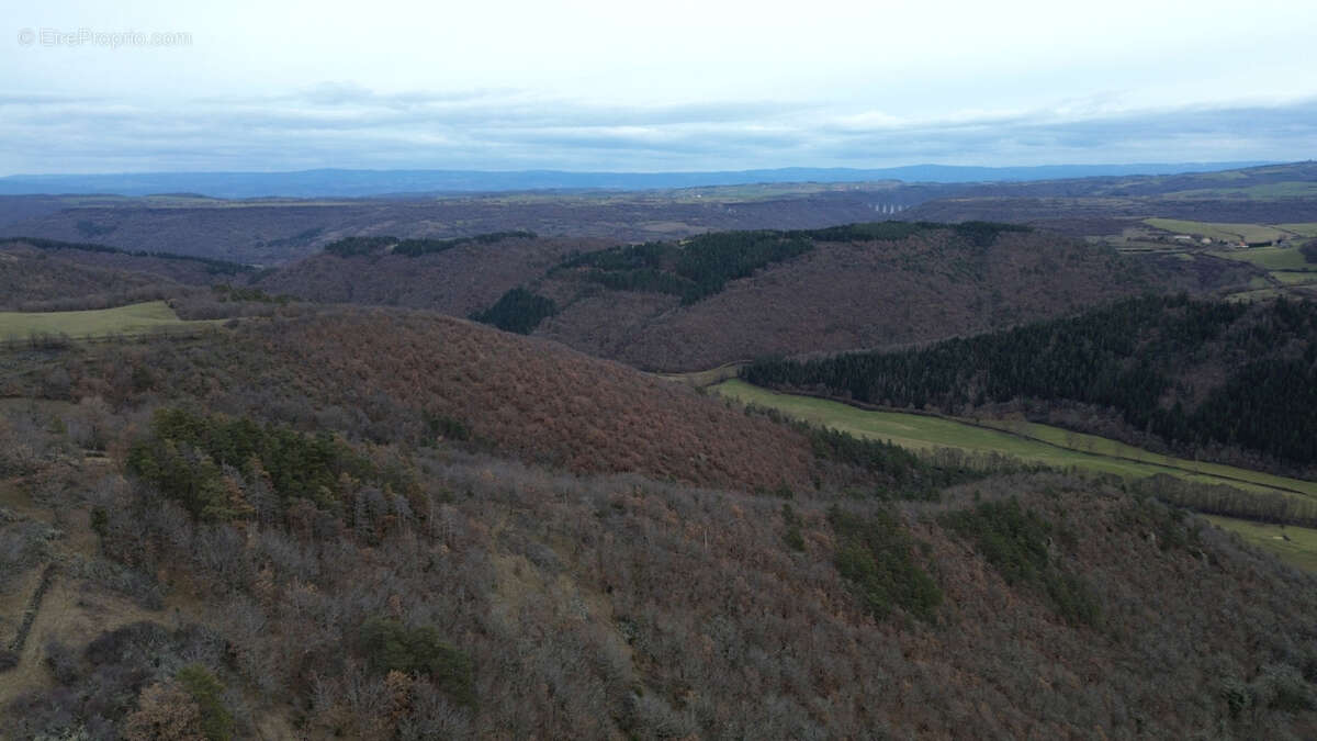 Terrain à AURIAC-L'EGLISE