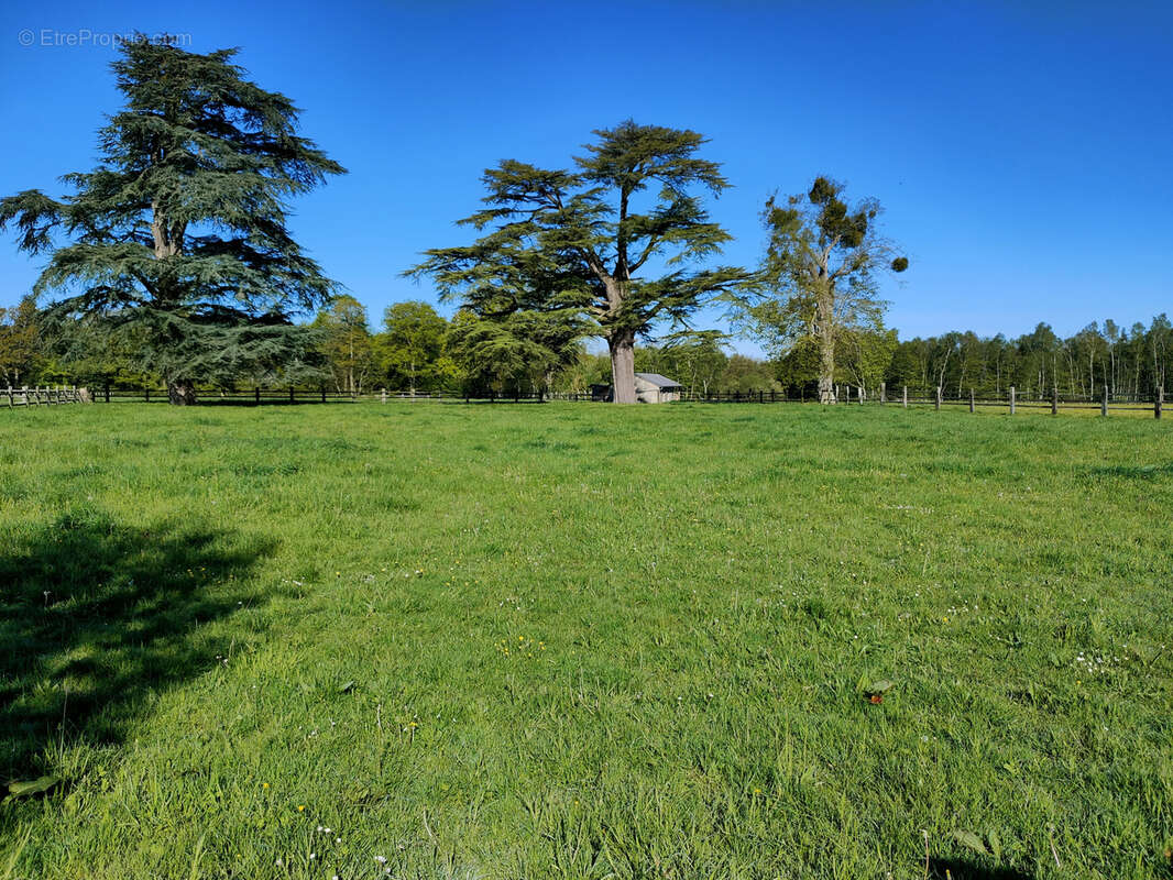 Propriété équestre avec 13 hectares - photo 31