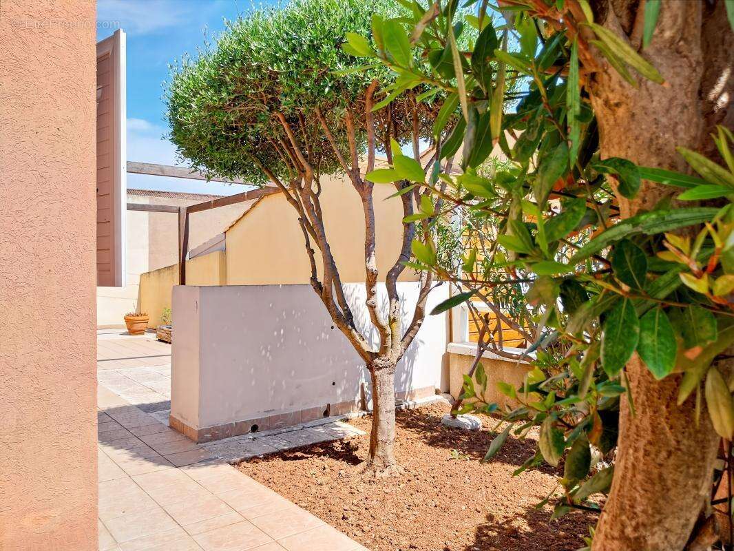 Maison à MARSEILLAN