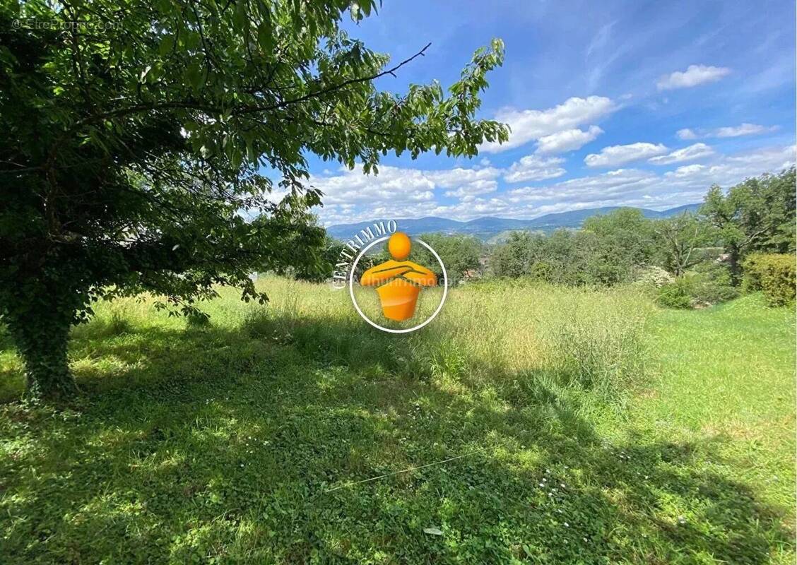 Terrain à CLONAS-SUR-VAREZE