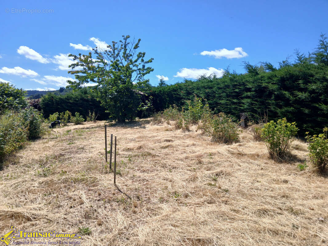 Villa de plain-pied - photo 11
