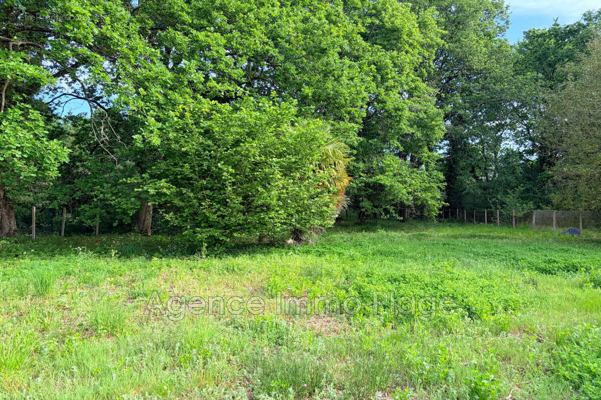 Terrain à SAINT-VIVIEN-DE-MEDOC