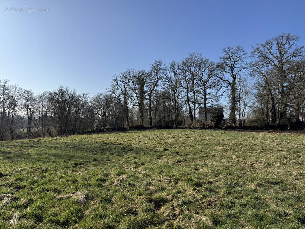 Terrain à MARIGNY-SUR-YONNE