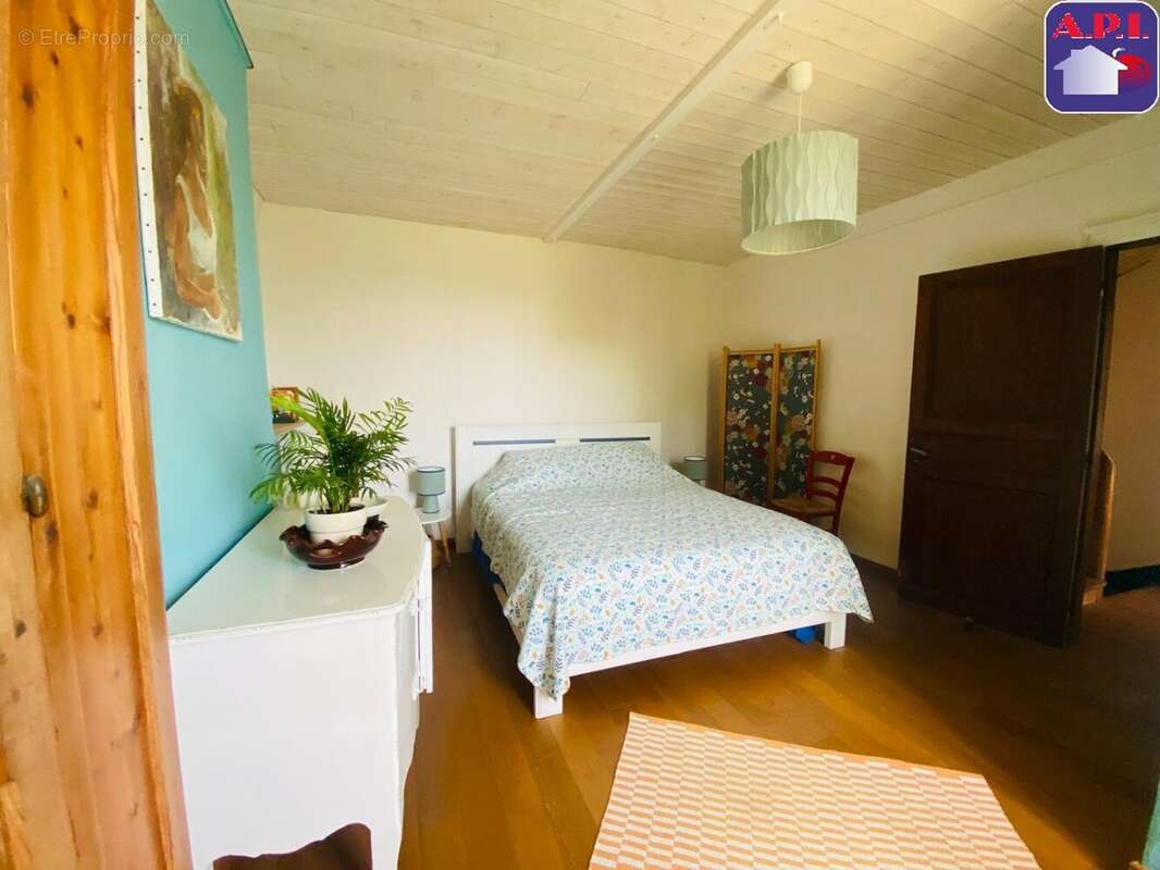 Maison 230 m² à Carla-Bayle  - photo 4