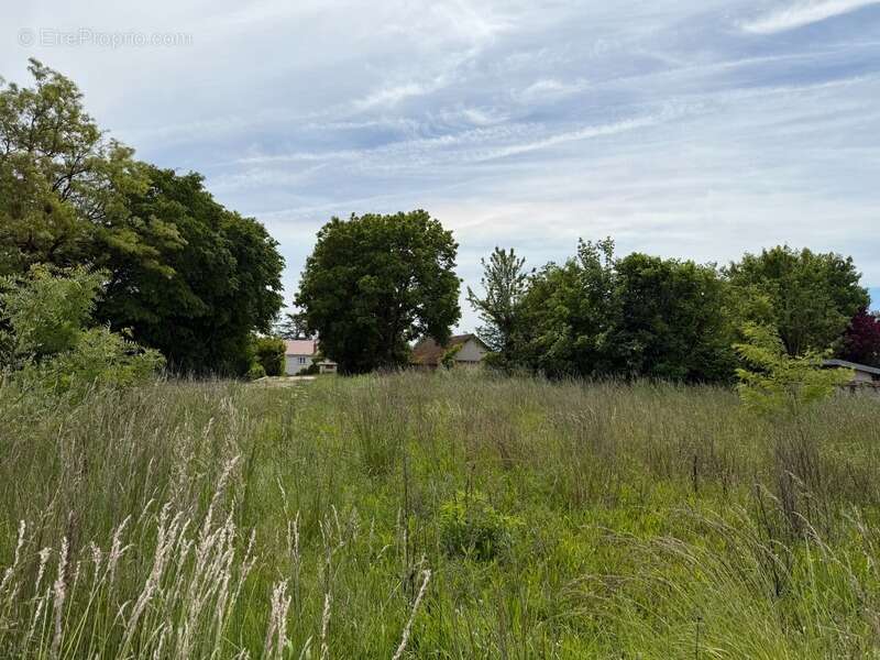 Terrain à ARCEAU