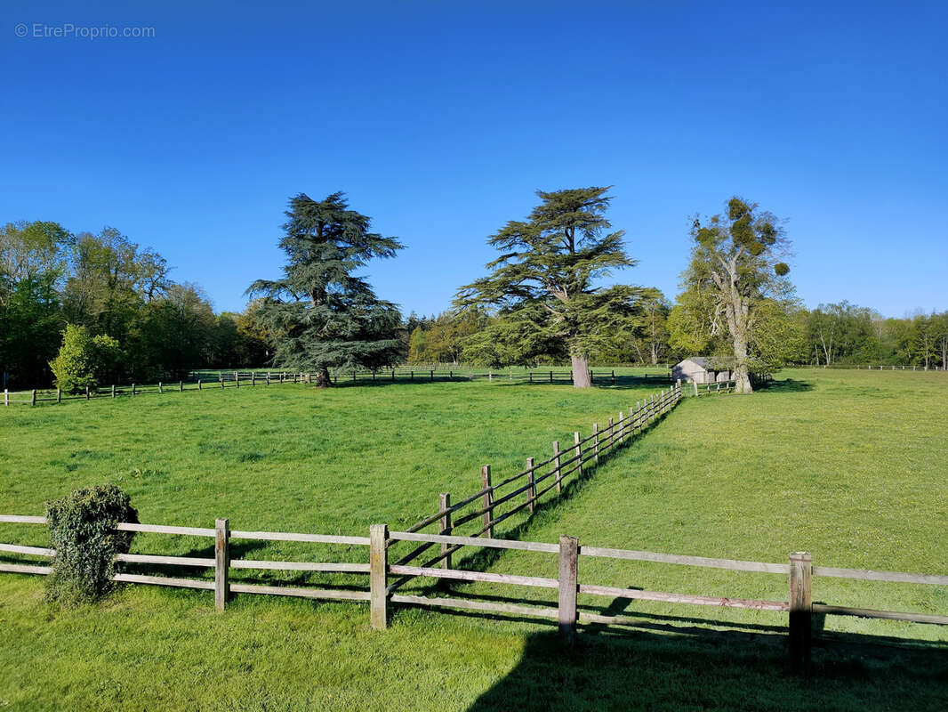 Propriété équestre avec 13 hectares - photo 37