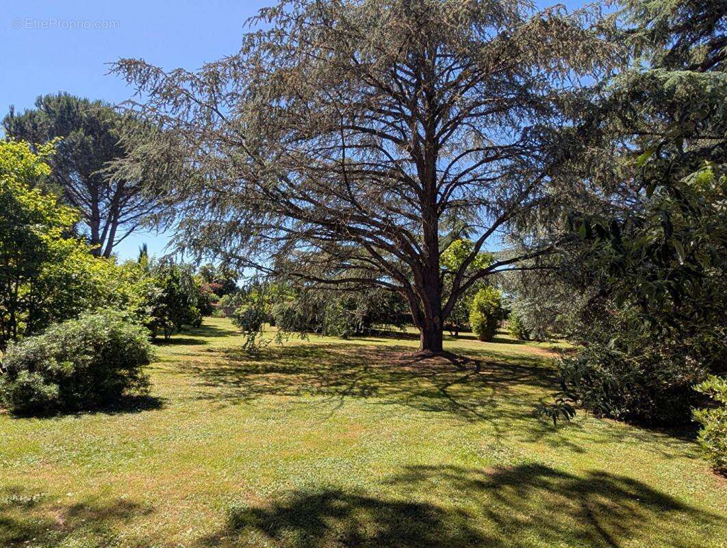 Propriété avec Maison de Maître, Maison Annexe et Maison de Gardien sur parc de 1,5 hectare - photo 12