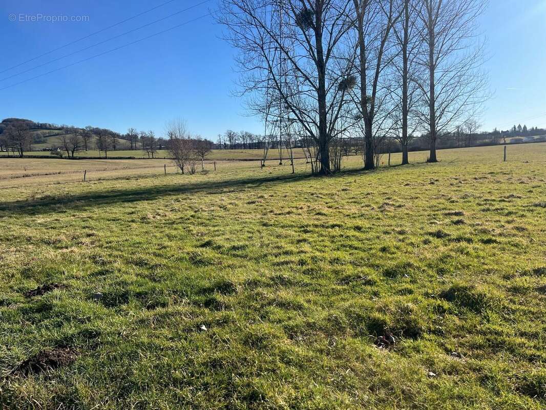 Terrain à NAUCELLES