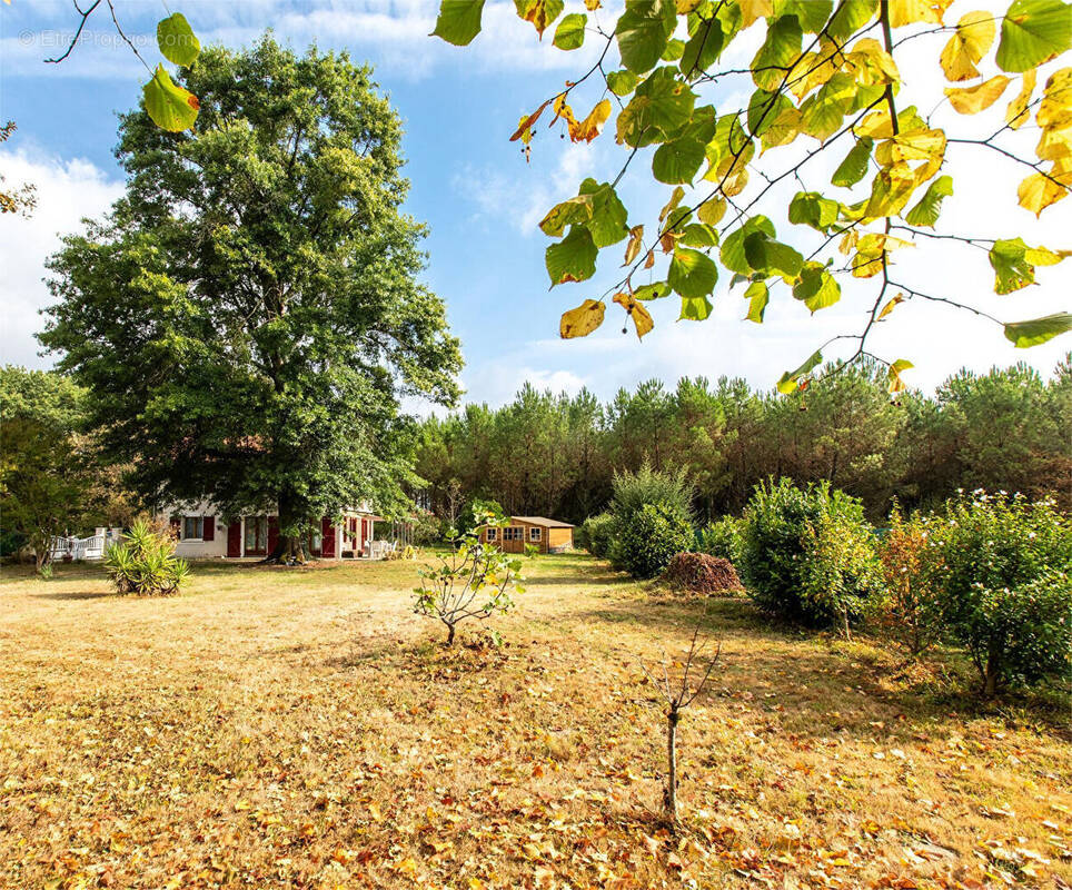 Maison à AIRE-SUR-L&#039;ADOUR