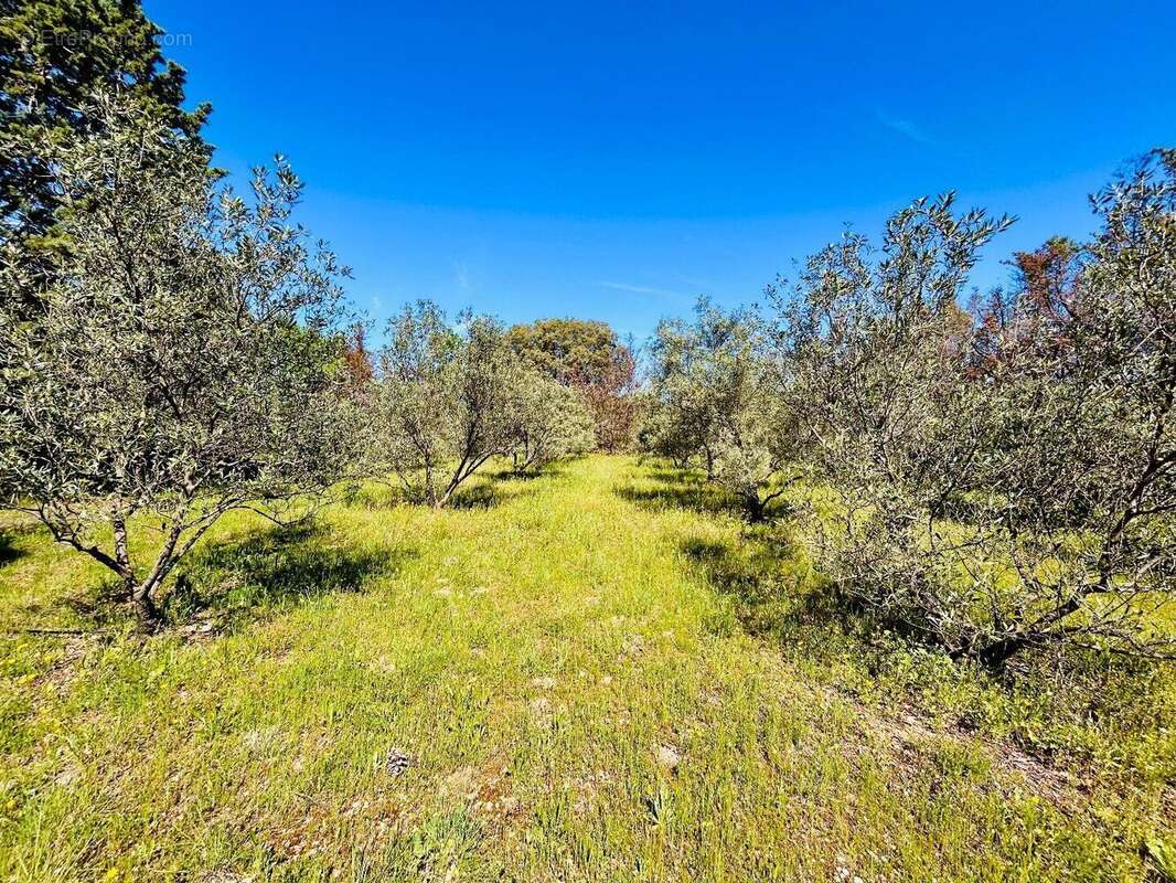 Photo 5 - Maison à PEZENAS