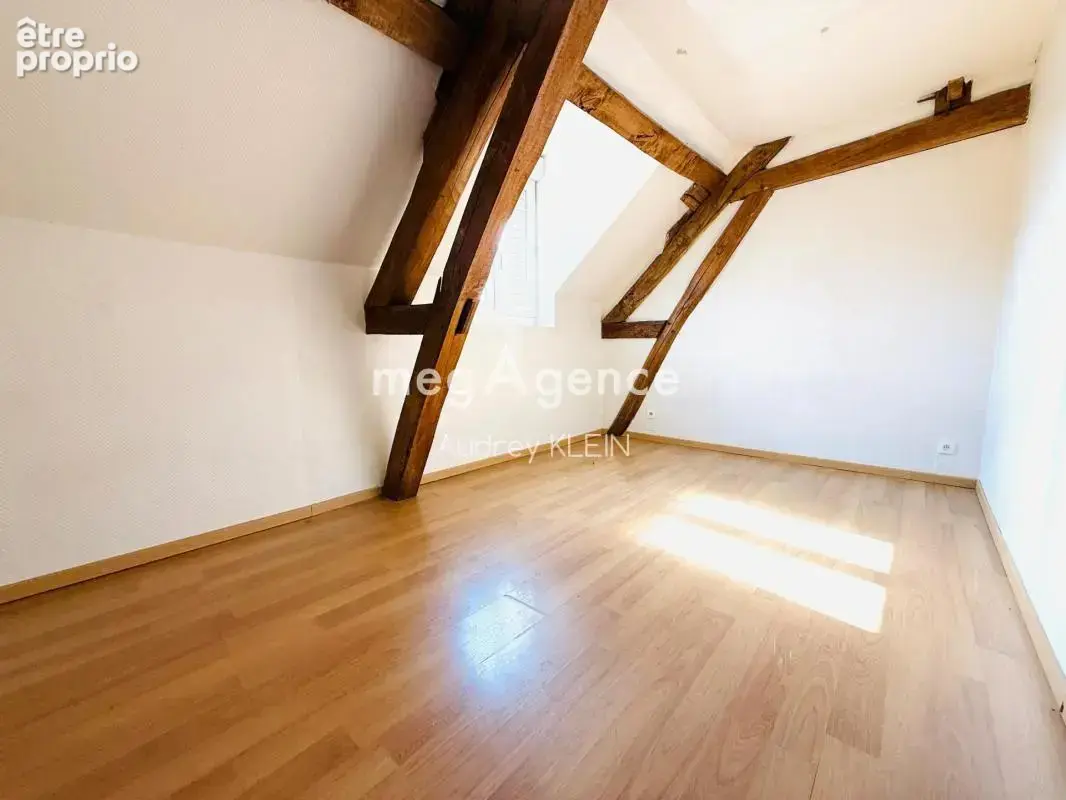 Maison familiale avec maison d’amis, dépendance et jardin plein Sud à Thorigny-sur-Oreuse - photo 10