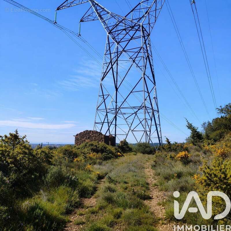 Photo 9 - Terrain à NEFFIES