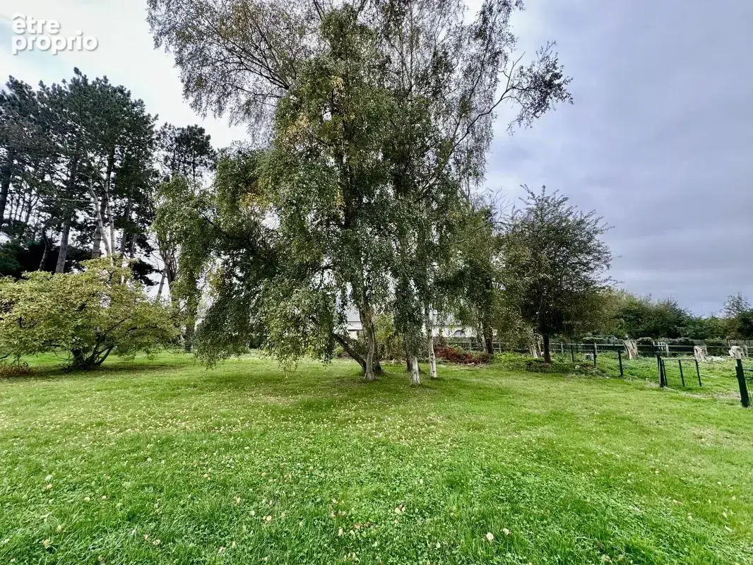 Propriété - photo 5