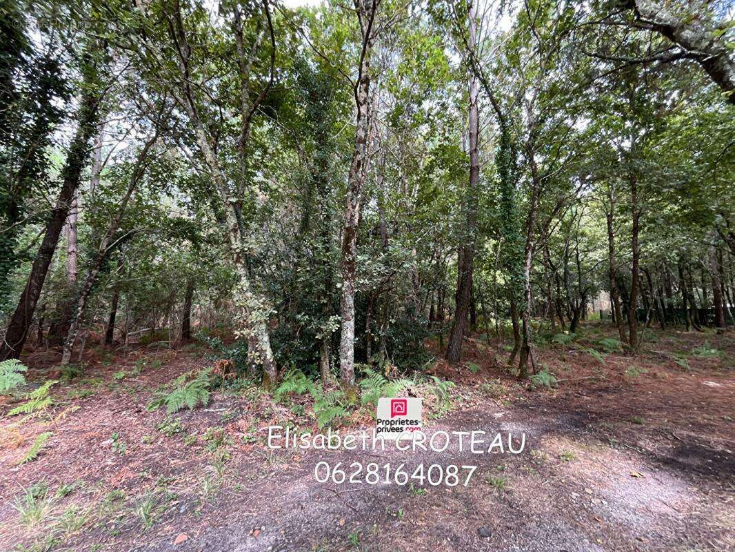 Terrain à SANGUINET