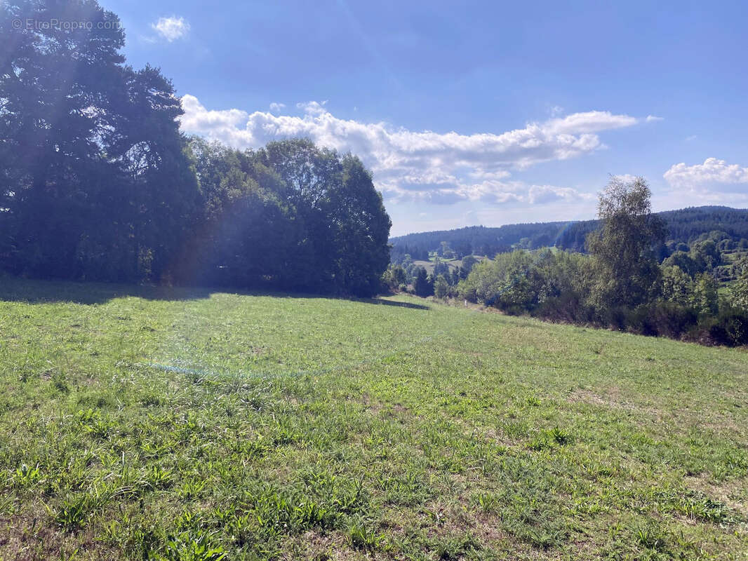 Terrain à CRAPONNE-SUR-ARZON