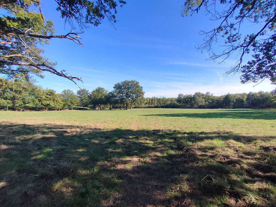 Terrain à SEREILHAC