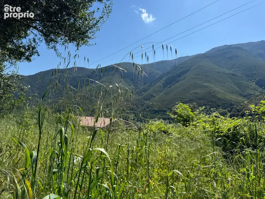 Terrain à OCCHIATANA