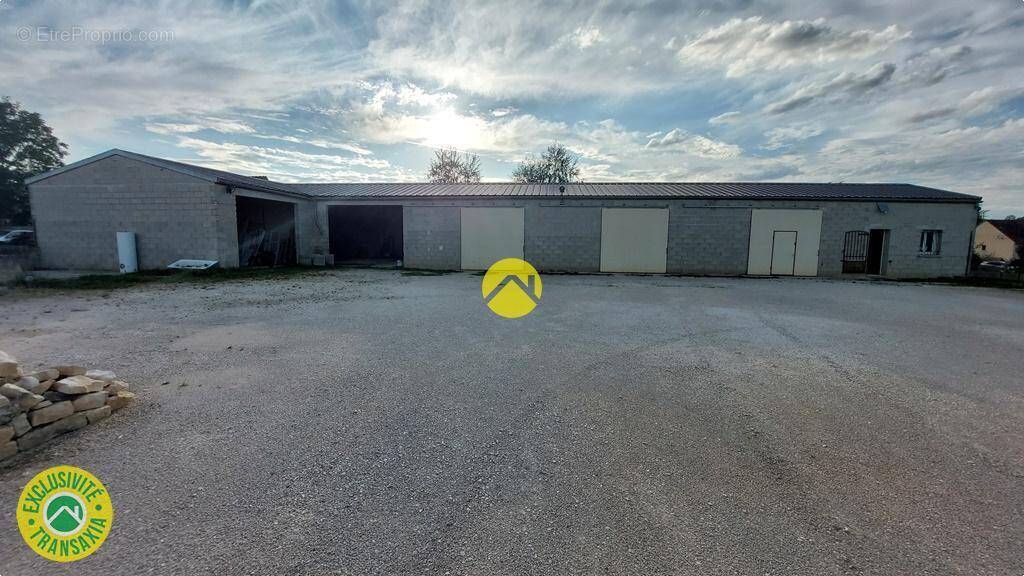 Commerce à RAVIERES