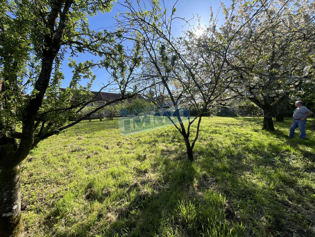 Maison à AVESNES-LE-COMTE