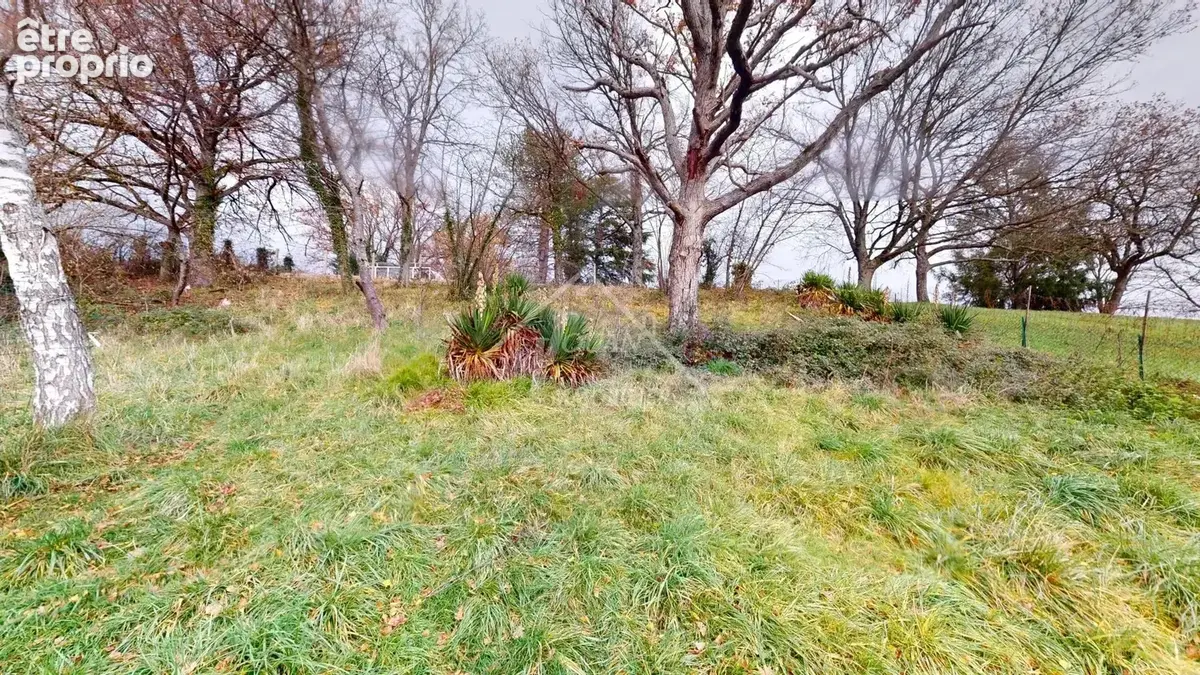 Maison pour investisseurs - photo 10