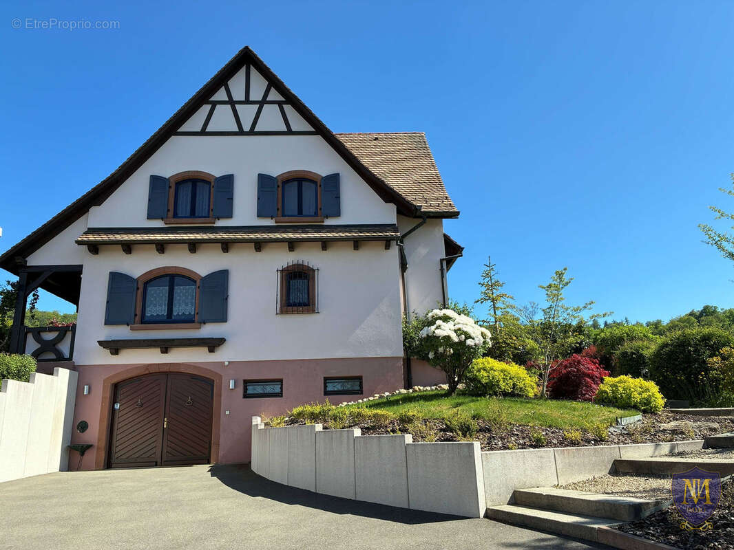 Liebsdorf au calme grande maison aux prestations de qualité de 200 m2 en limite de zone constructibles - photo 23