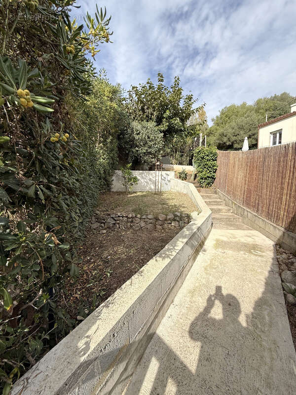 Maison à ALBITRECCIA