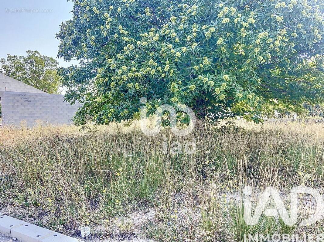 Photo 1 - Terrain à LA BRILLANNE