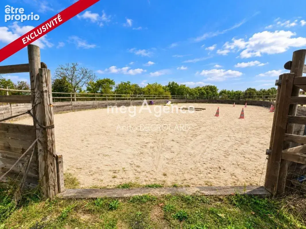 Propriété équestre – 4 hectares attenants – 5 chambres – rives de l’yon - photo 19