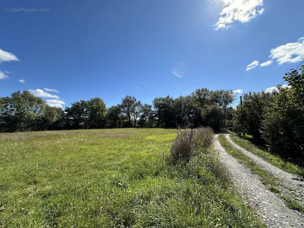 Terrain à NOAILHAC