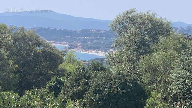 Maison à ROQUEBRUNE-SUR-ARGENS