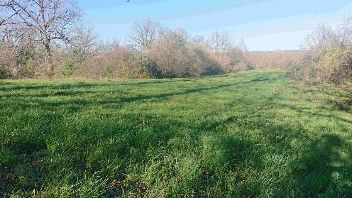 Terrain à PUYLAGARDE