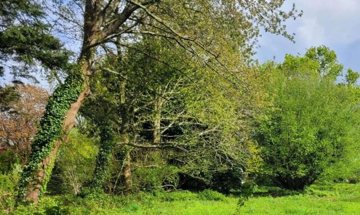 Photo 3 - Terrain à RADENAC