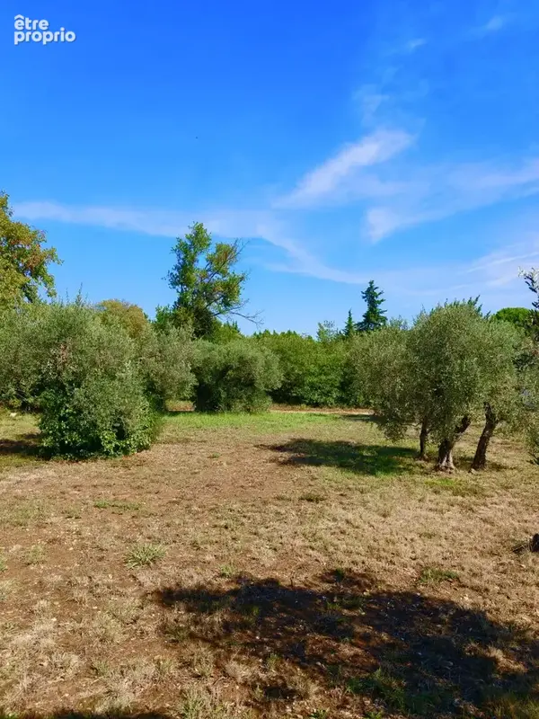 Terrain constructible 1900 m² - photo 5