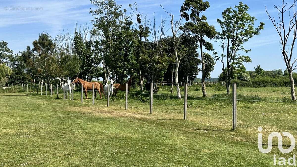 Photo 3 - Maison à MARCK