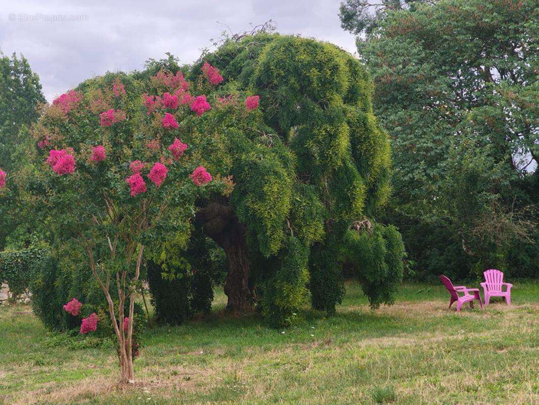 Maison à INGRANDES-DE-TOURAINE