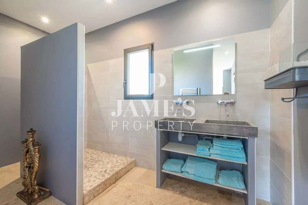 Maison 255 m² à Saint-Remy-De-Provence  - photo 8