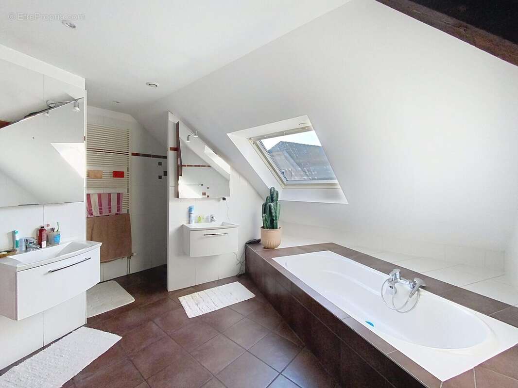 Appartement 203 m² à Wolfisheim  - photo 3