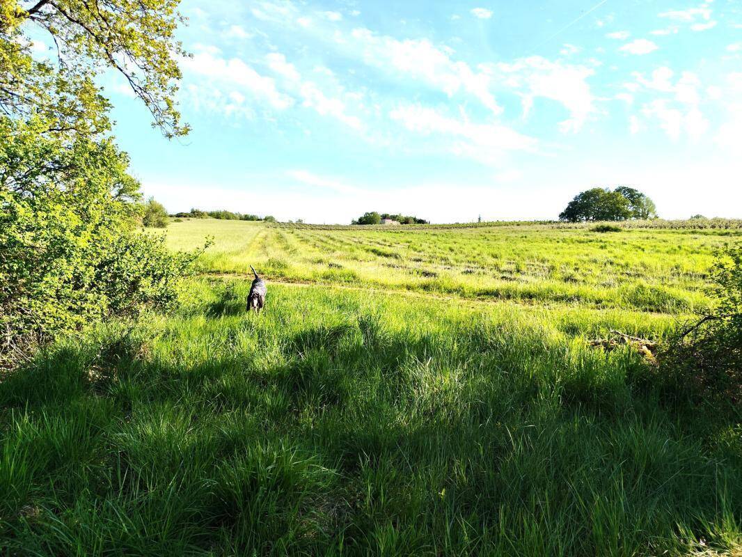 Terrain à CARNAC-ROUFFIAC