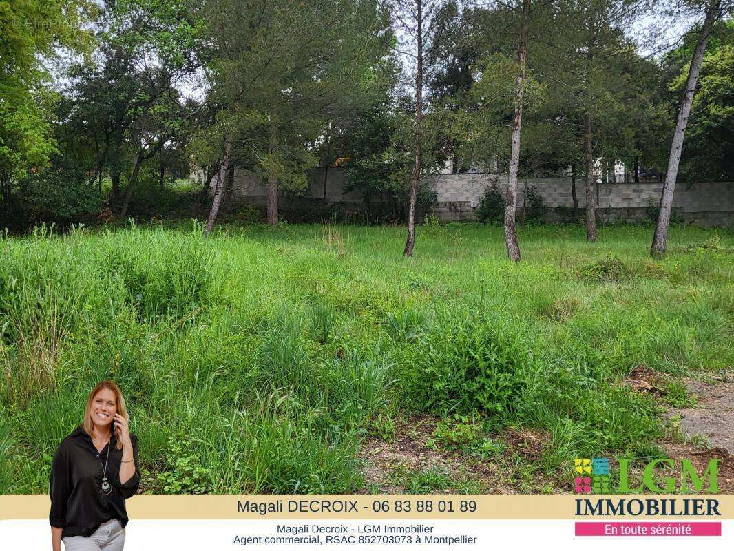 Terrain à SAINT-DREZERY