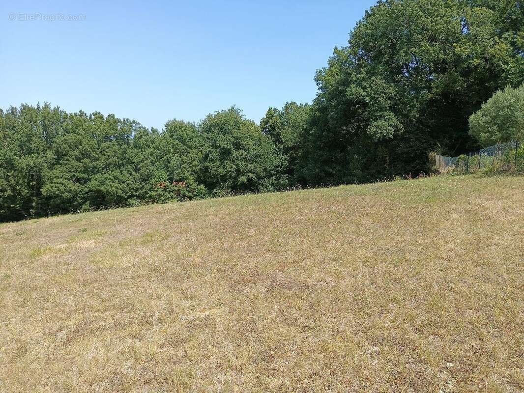 Terrain constructible de 2029m² - photo 2