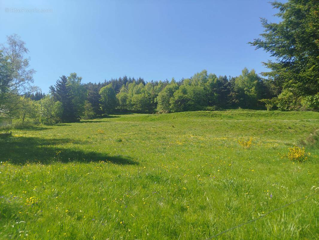 Terrain à CHAUDEYRAC