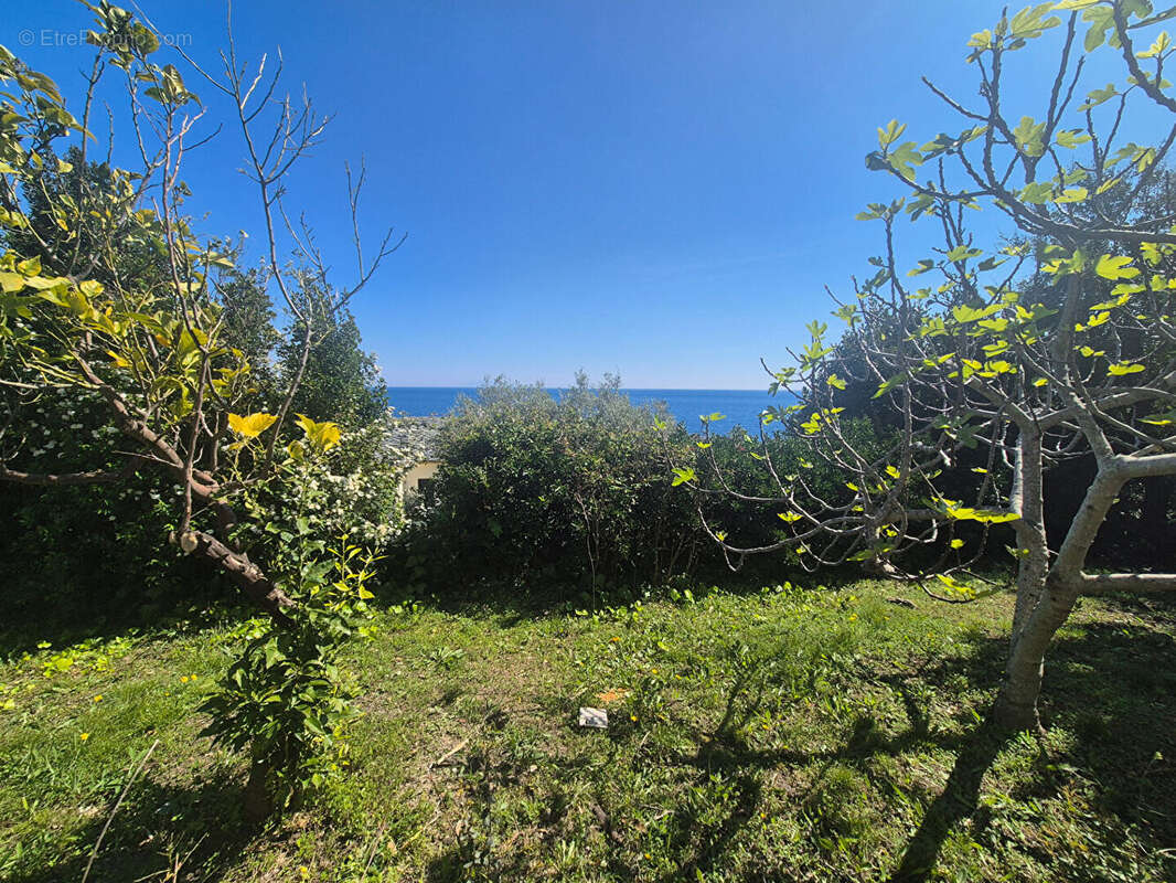 Maison à SANTA-MARIA-DI-LOTA