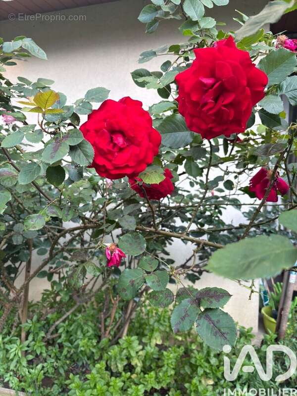 Photo 8 - Appartement à FONTENAY-LE-FLEURY